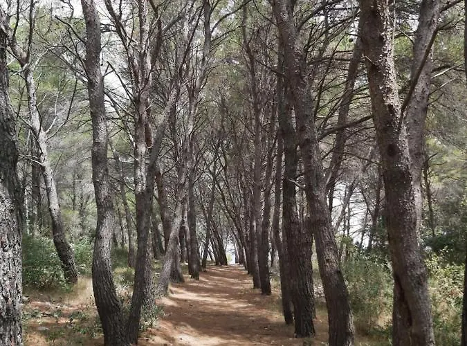 Gitta Διαμέρισμα